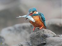 World & Travel: National Geographic Photography