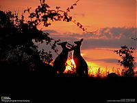 World & Travel: National Geographic Photography