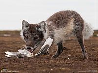 World & Travel: National Geographic Photography