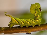 World & Travel: National Geographic Photography