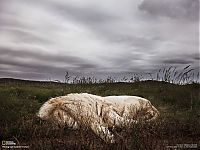 National Geographic Photography