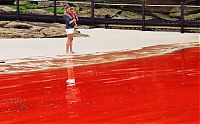 TopRq.com search results: Red algae beach, Sydney, Australia