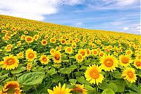 World & Travel: world travel landscape photography