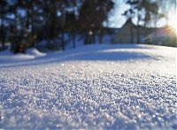 winter photography