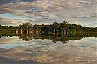 World & Travel: Amazon rainforest jungle, South America