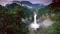 TopRq.com search results: Amazon rainforest jungle, South America