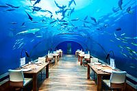 TopRq.com search results: Conrad Maldives Rangali Island Resort, Rangali, Alif Dhaal Atoll, Maldives