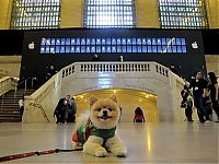 World & Travel: Grand Central Terminal Station 100th anniversary, New York City, United States