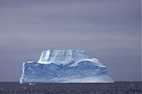 TopRq.com search results: iceberg