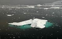 TopRq.com search results: iceberg