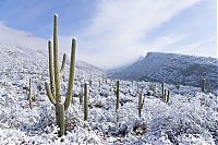 TopRq.com search results: Grand Canyon covered with snow, Arizona, United States