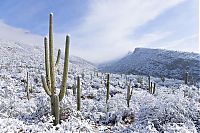 World & Travel: Grand Canyon covered with snow, Arizona, United States