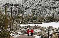 TopRq.com search results: Grand Canyon covered with snow, Arizona, United States