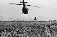 World & Travel: History: Vietnam war in photographs
