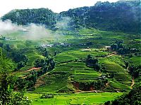 TopRq.com search results: Life in Vietnam