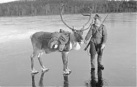 TopRq.com search results: History: World War II photography, Finnish Defense Forces, Finland