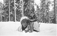 TopRq.com search results: History: World War II photography, Finnish Defense Forces, Finland