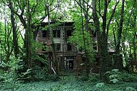 TopRq.com search results: North Brother Island, East River, New York City, United States