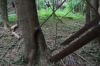 World & Travel: North Brother Island, East River, New York City, United States