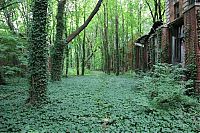 World & Travel: North Brother Island, East River, New York City, United States