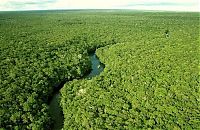 TopRq.com search results: Amazon rainforest jungle, South America