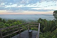 World & Travel: Amazon rainforest jungle, South America