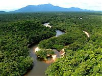 TopRq.com search results: Amazon rainforest jungle, South America