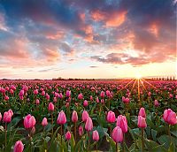 TopRq.com search results: sunrise and sunset landscape photography
