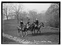 TopRq.com search results: History: Central Park in the early 1900s, Manhattan, New York City, United States