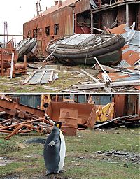 World & Travel: Abandoned places of Antarctica, Antarctic Plateau