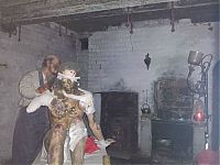 TopRq.com search results: Fort Paull waxwork museum, Humber, Paull, England