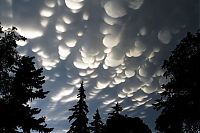TopRq.com search results: clouds formation