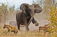 TopRq.com search results: National Geographic Photography