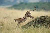 National Geographic Photography