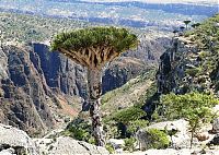 World & Travel: Socotra archipelago, Republic of Yemen, Indian Ocean