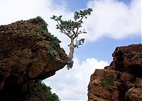 World & Travel: Socotra archipelago, Republic of Yemen, Indian Ocean