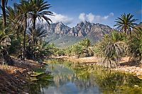 TopRq.com search results: Socotra archipelago, Republic of Yemen, Indian Ocean