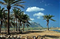 TopRq.com search results: Socotra archipelago, Republic of Yemen, Indian Ocean