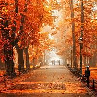 World & Travel: autumn world