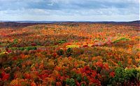 TopRq.com search results: autumn world