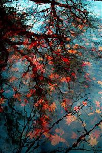 autumn world