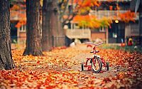 World & Travel: autumn world