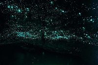 TopRq.com search results: Waitomo Glowworm Caves, Waitomo, North Island, New Zealand