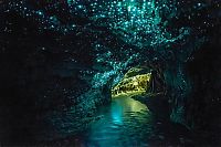 World & Travel: Waitomo Glowworm Caves, Waitomo, North Island, New Zealand