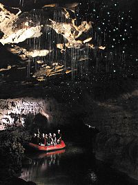 TopRq.com search results: Waitomo Glowworm Caves, Waitomo, North Island, New Zealand