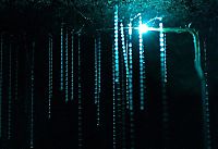 TopRq.com search results: Waitomo Glowworm Caves, Waitomo, North Island, New Zealand