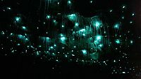 TopRq.com search results: Waitomo Glowworm Caves, Waitomo, North Island, New Zealand