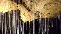 TopRq.com search results: Waitomo Glowworm Caves, Waitomo, North Island, New Zealand