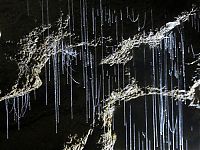 World & Travel: Waitomo Glowworm Caves, Waitomo, North Island, New Zealand