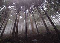 autumn world